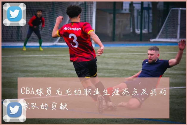 CBA球员毛毛的职业生涯亮点及其对球队的贡献