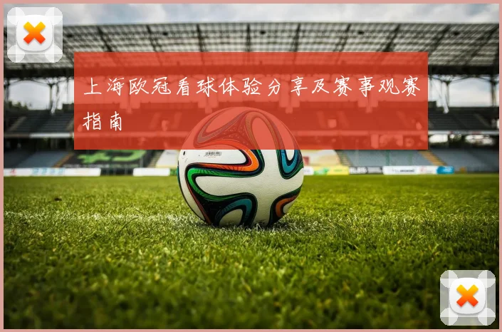 上海欧冠看球体验分享及赛事观赛指南