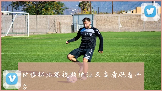 世俱杯比赛视频地址及高清观看平台